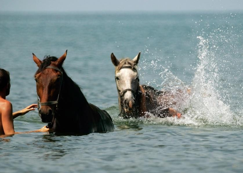 Ride Egypt-赫尔格达必去景点