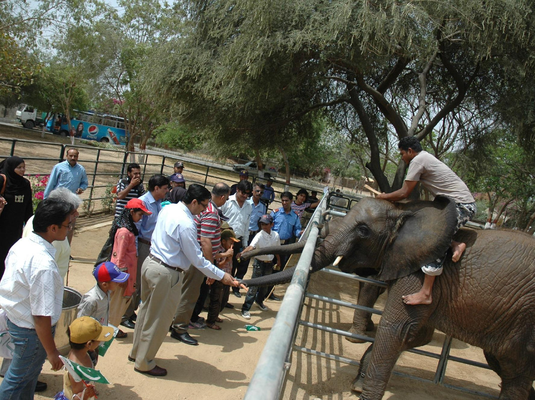 Safari Park-卡拉奇必去景点