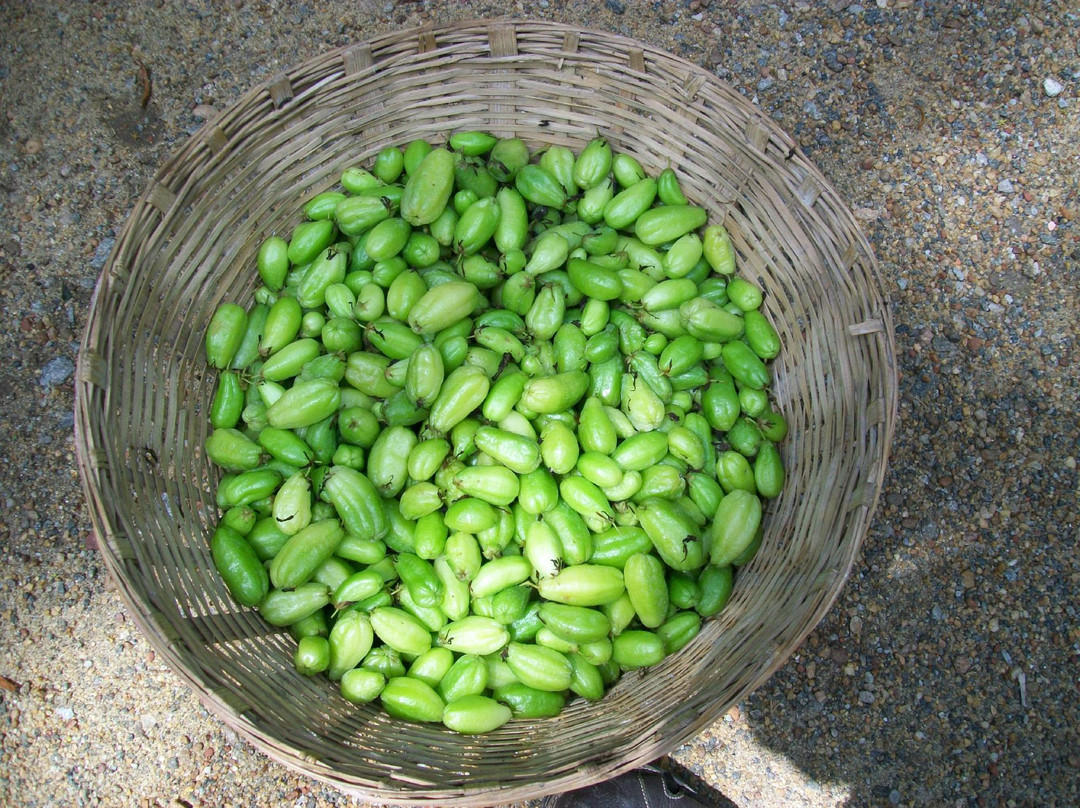 Puliyel Homestay主图