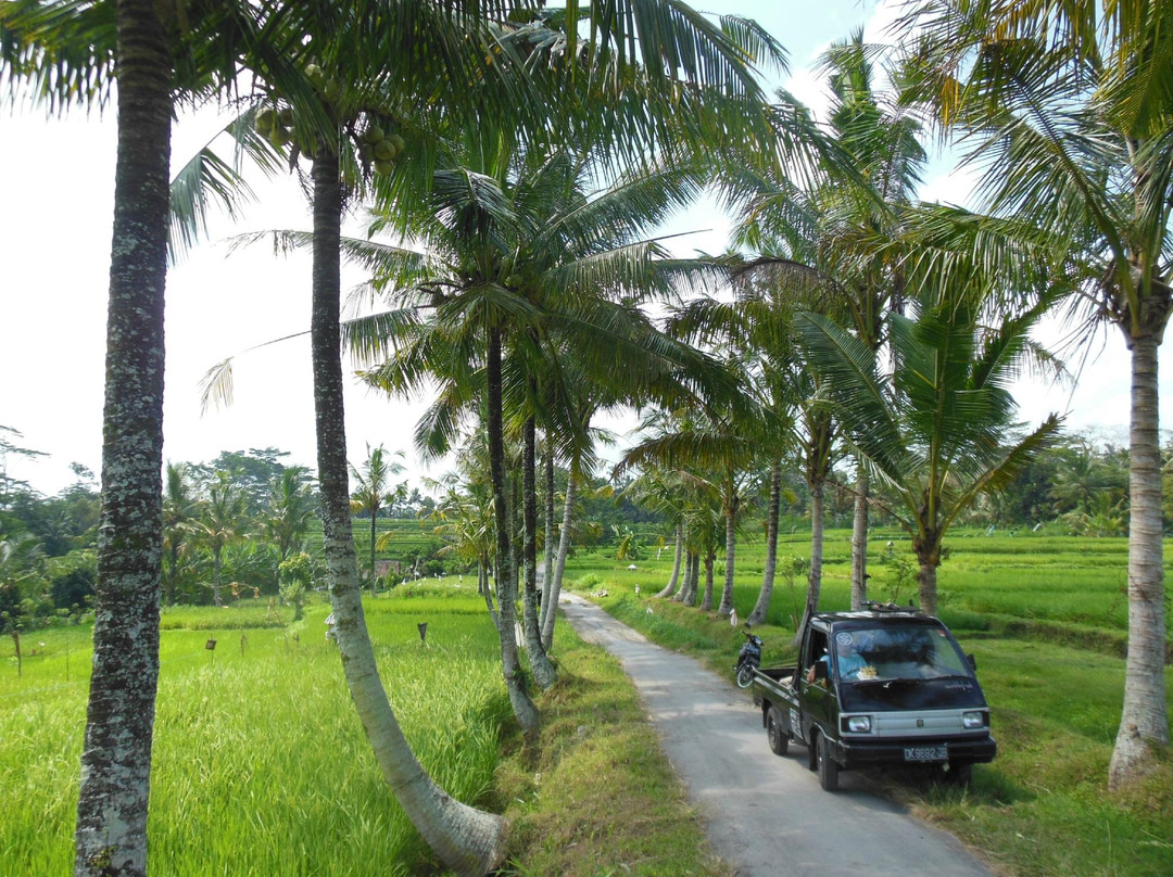 BaliGoBike - Bali Cycling Tours-乌布必去景点