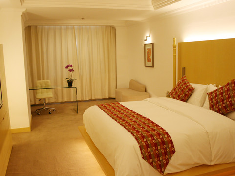 乌鲁木齐华凌雅高美爵大饭店（红山公园时代广场CCMALL店）主图