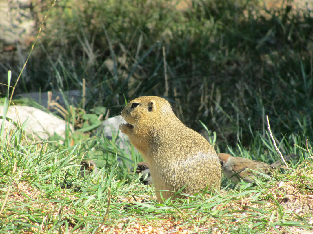 Blumengärten Hirschstetten-维也纳必去景点