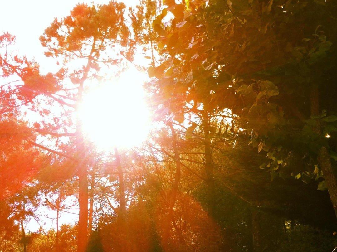 Camping le Sous Bois