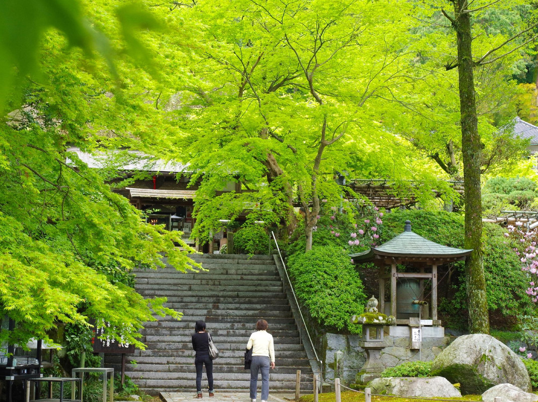 Daikozenji Temple景点图片