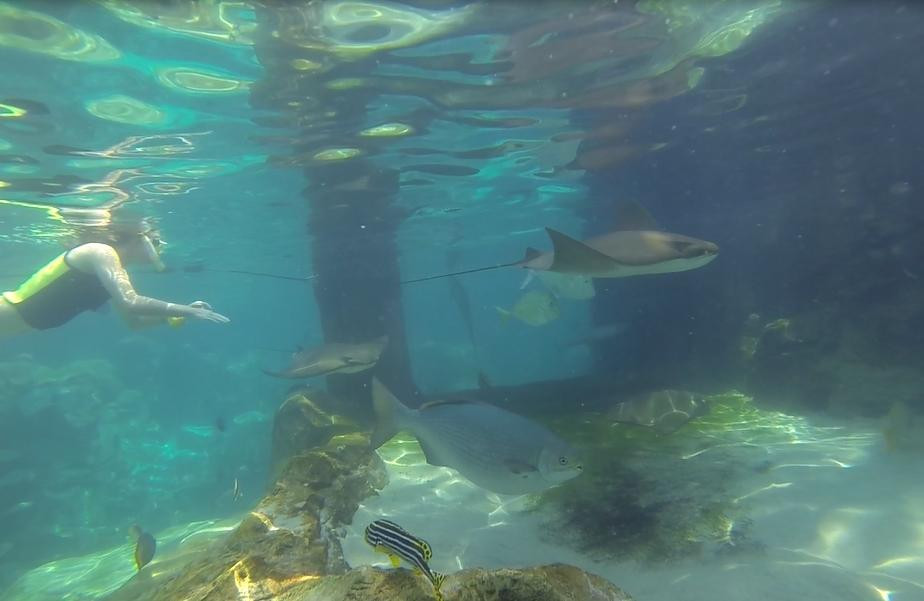 探索湾-奥兰多必去景点