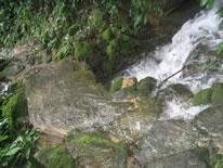 Gateway Bolivia-拉巴斯必去景点