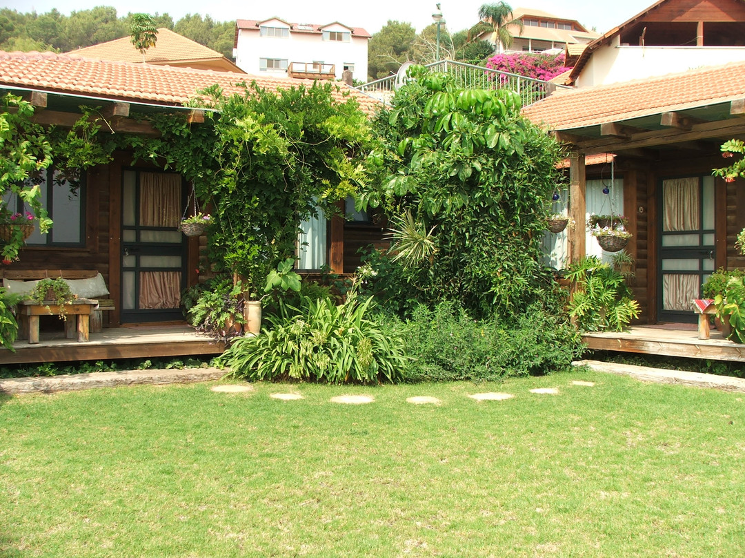 Rosh Pina酒店住宿-Miki's Rosh Pina