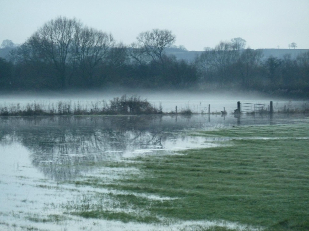 Somerset Levels and Moors景点图片
