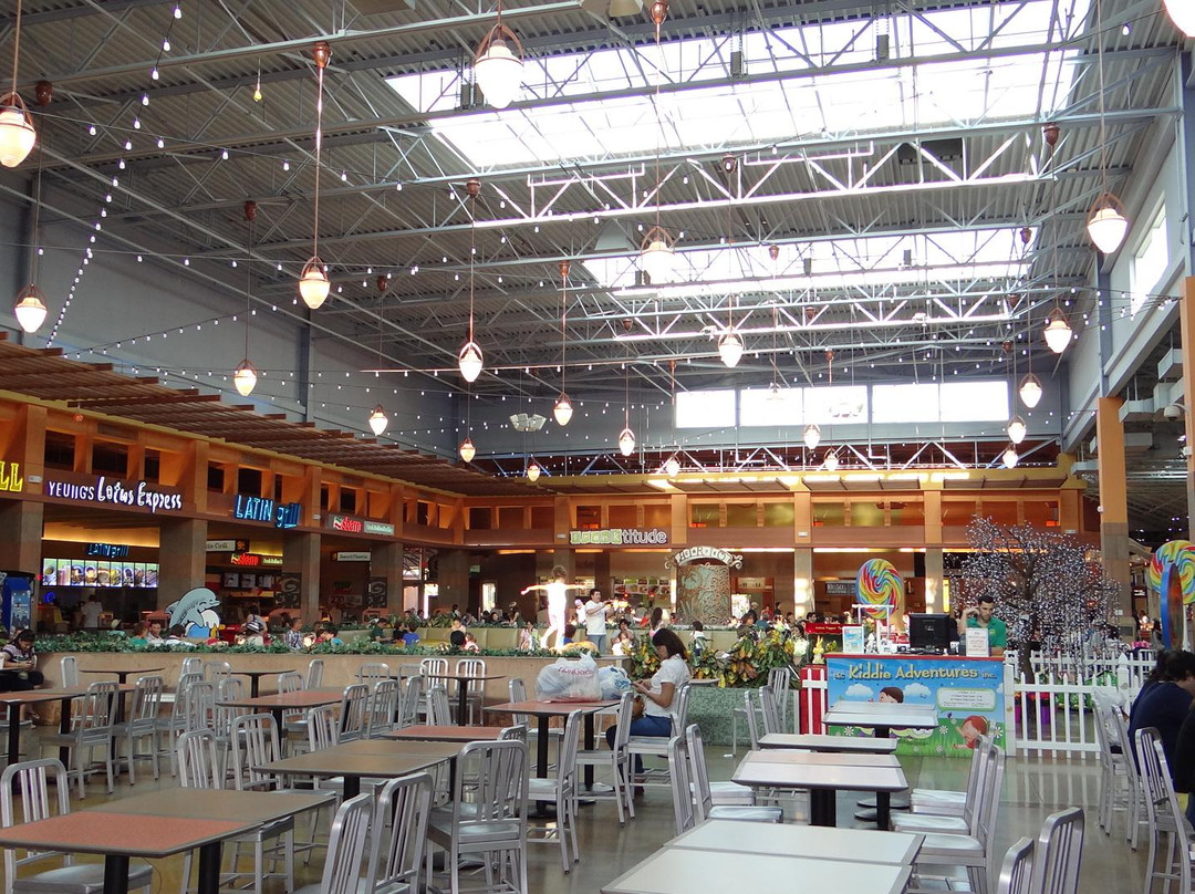 海豚商场-迈阿密必去景点