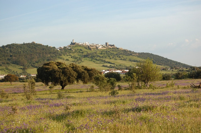 Monsaraz Castle and Walls-蒙萨拉斯必去景点