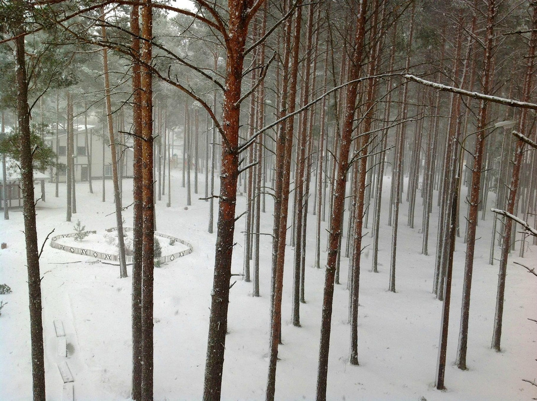 Best Eastern Pleskov Hotel主图