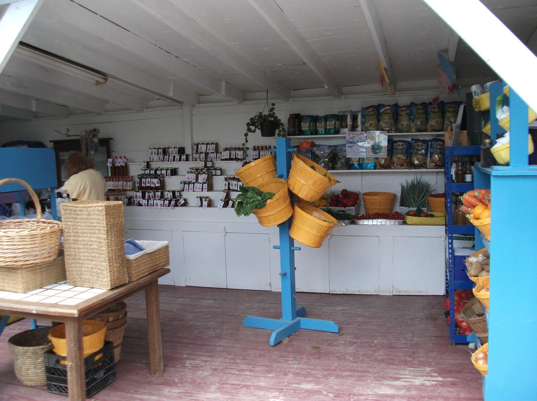 Eleuthera Island Farm-伊柳塞拉必去景点