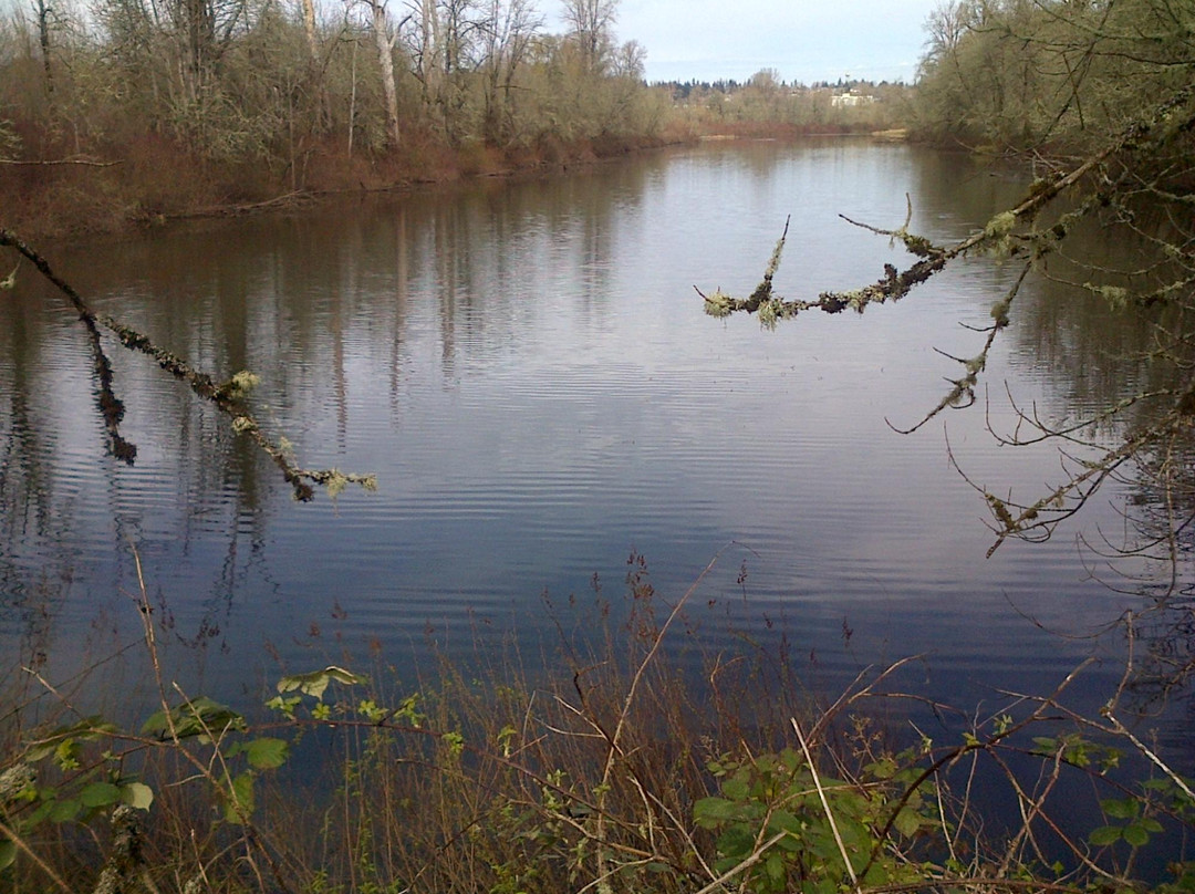 Minto-Brown Island Park-塞勒姆必去景点