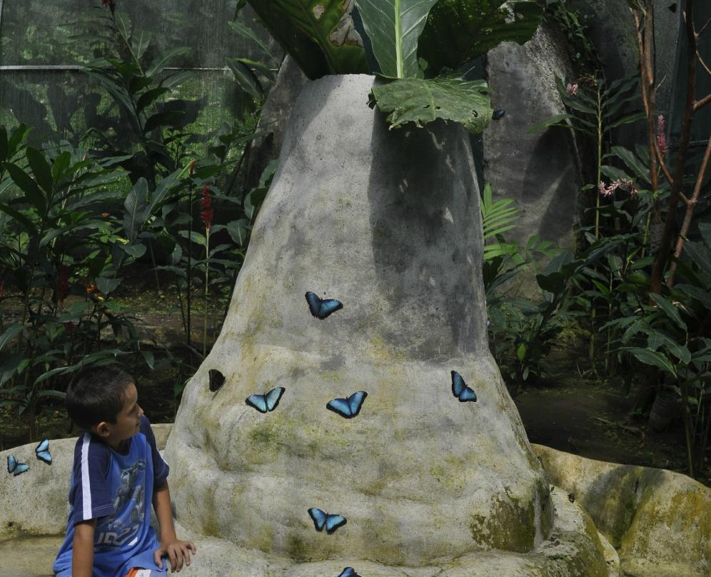 The Motmot Jungle-福德圣卡洛斯必去景点