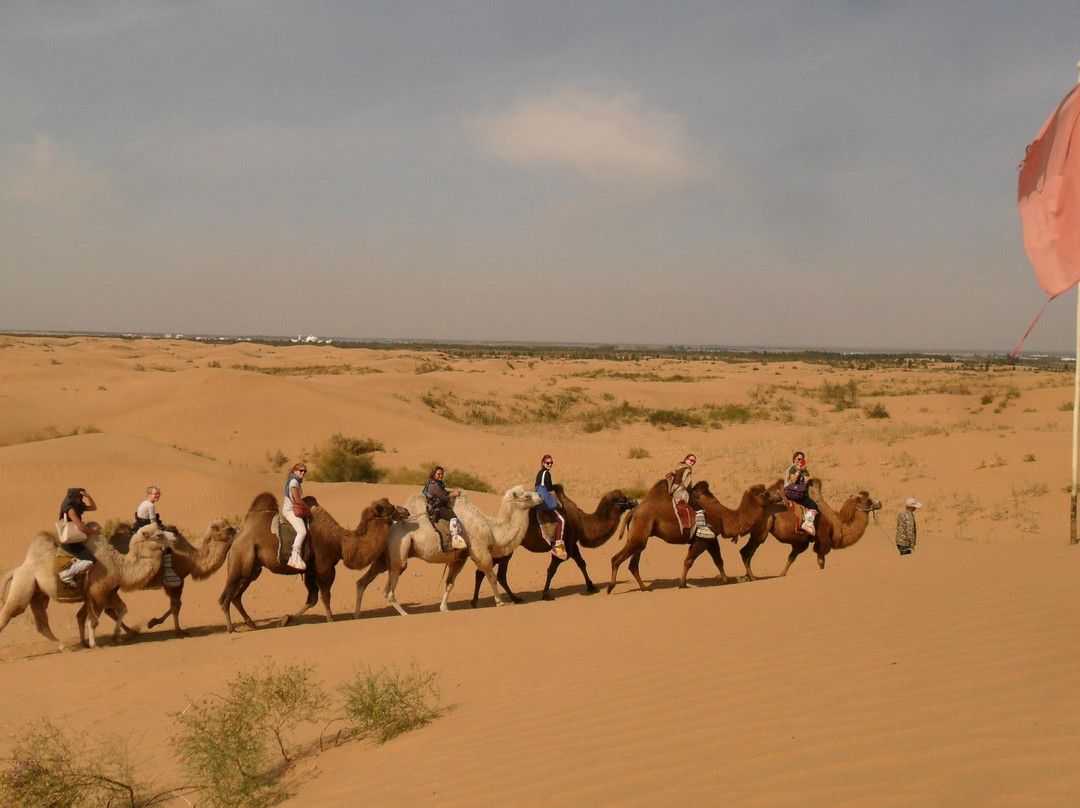 库布齐沙漠-鄂尔多斯市必去景点