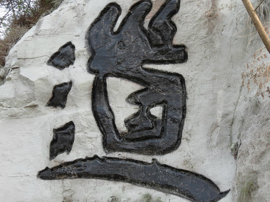 潼南东升茶山农业观光园景点图片