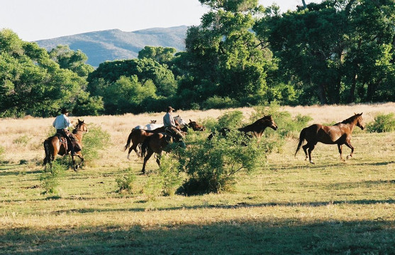 Gold Bar Ranch Bed & Breakfast主图