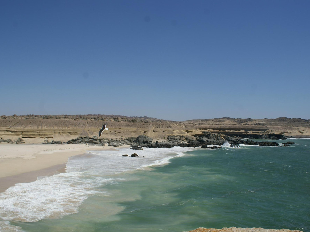 Puerto Viejo-Copiapo必去景点