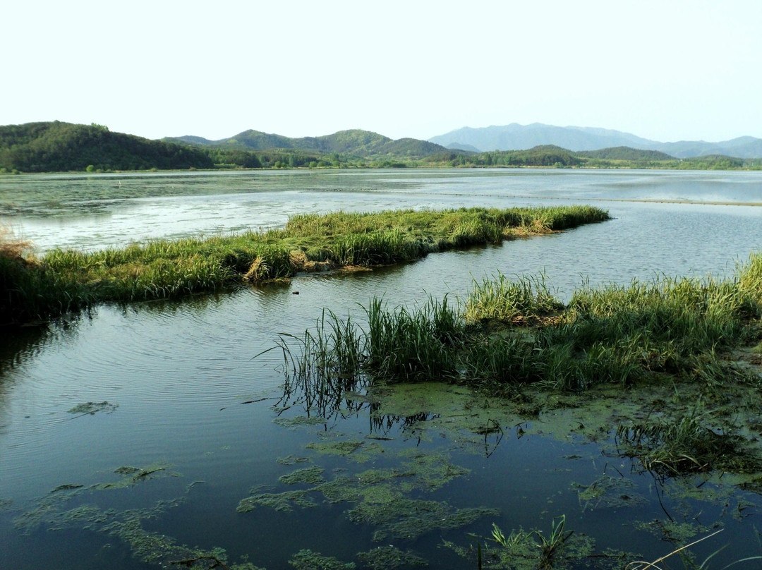 Upo Wetland-昌宁郡必去景点