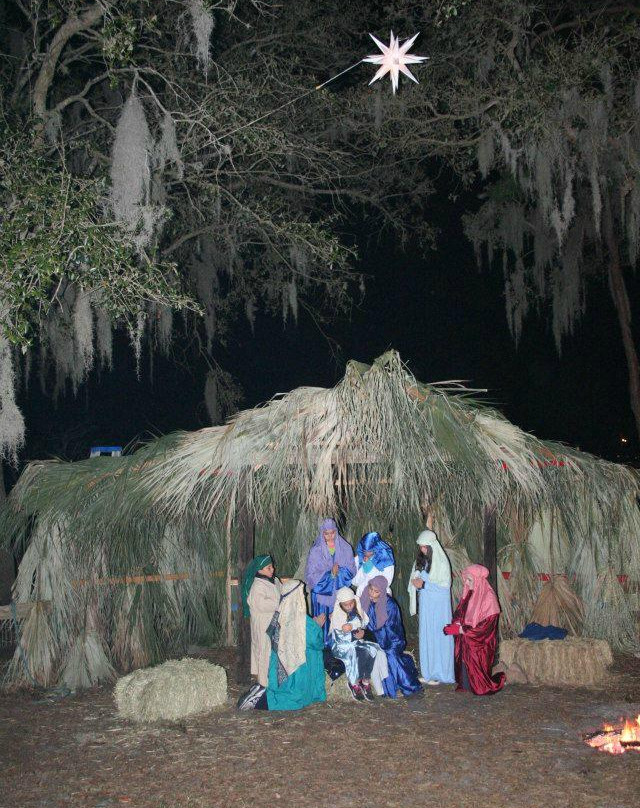 Horse Power for Kids & Animal Sanctuary-坦帕必去景点