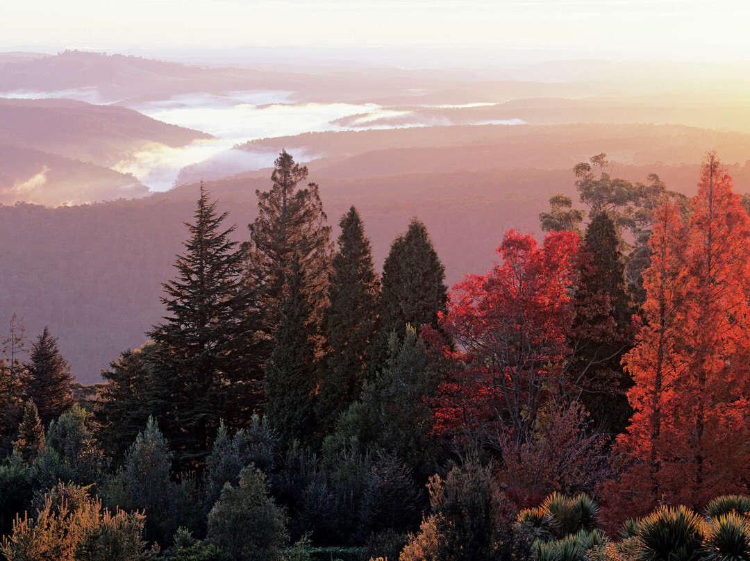 The Blue Mountains Botanic Garden景点图片