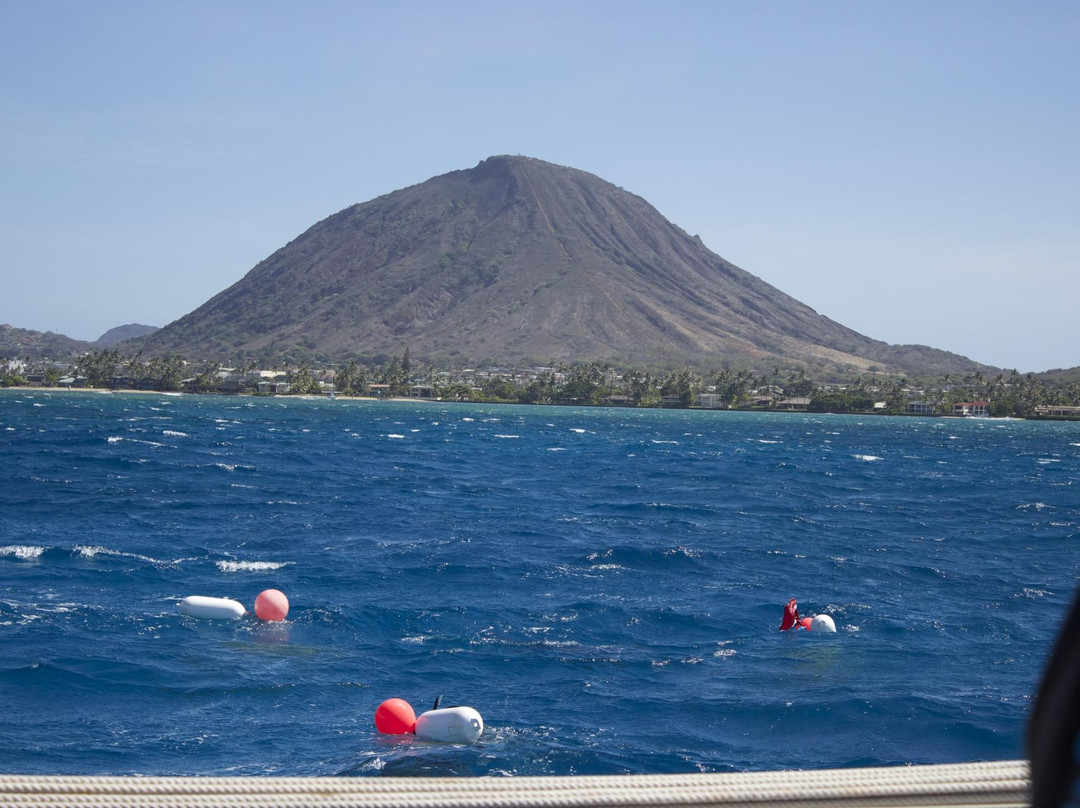 Island WaterSports Hawaii-火奴鲁鲁必去景点