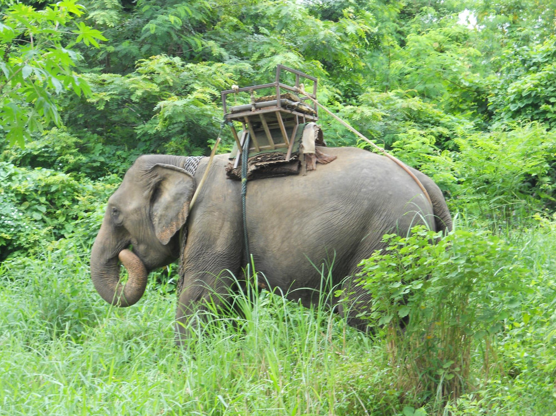 Thailand Hilltribe Holidays Private Tours景点图片