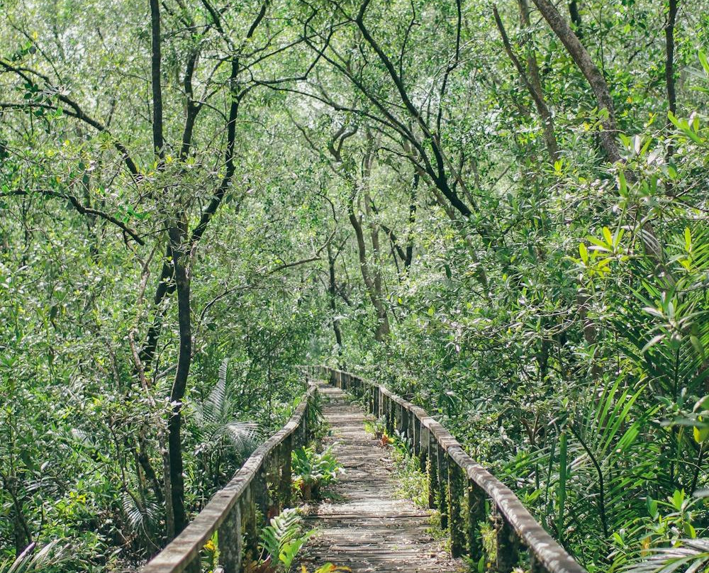 Mukah旅游攻略图片