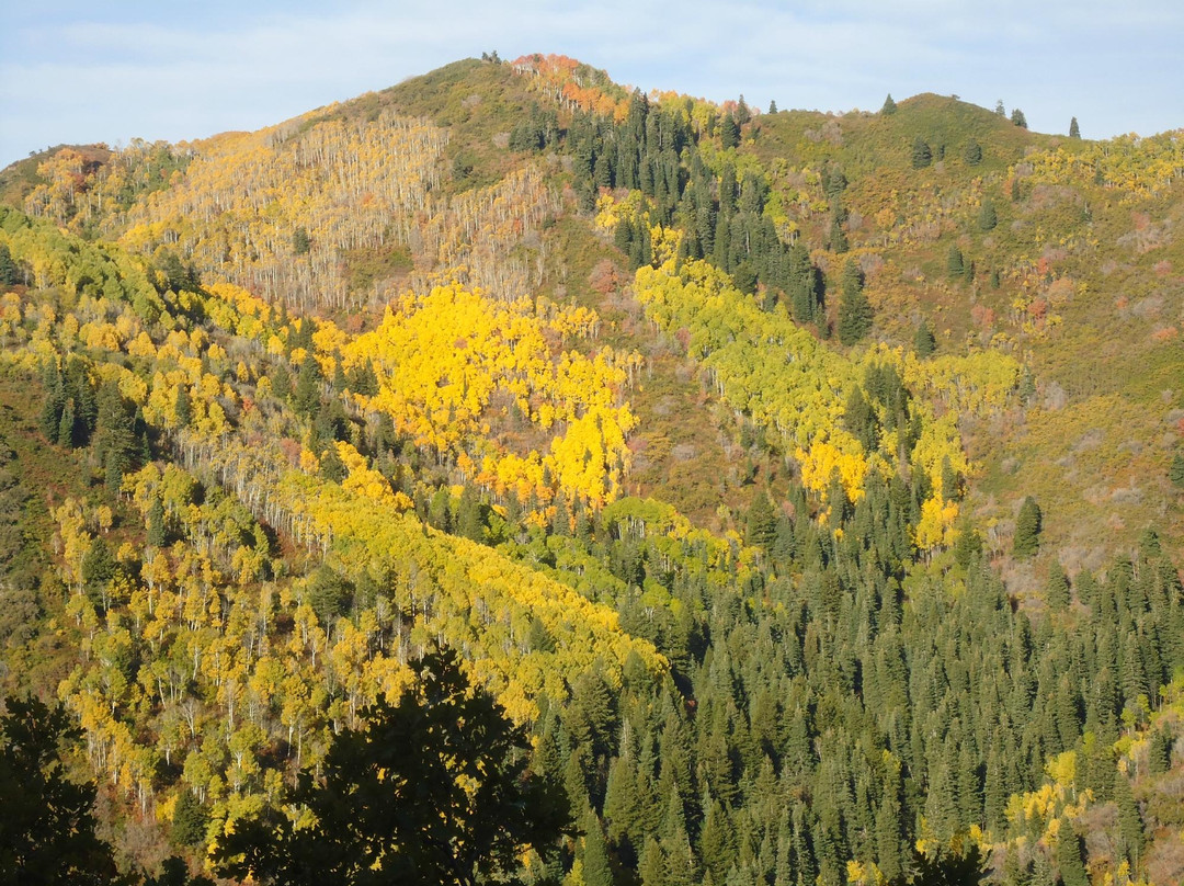 Mill Creek Canyon-盐湖城必去景点