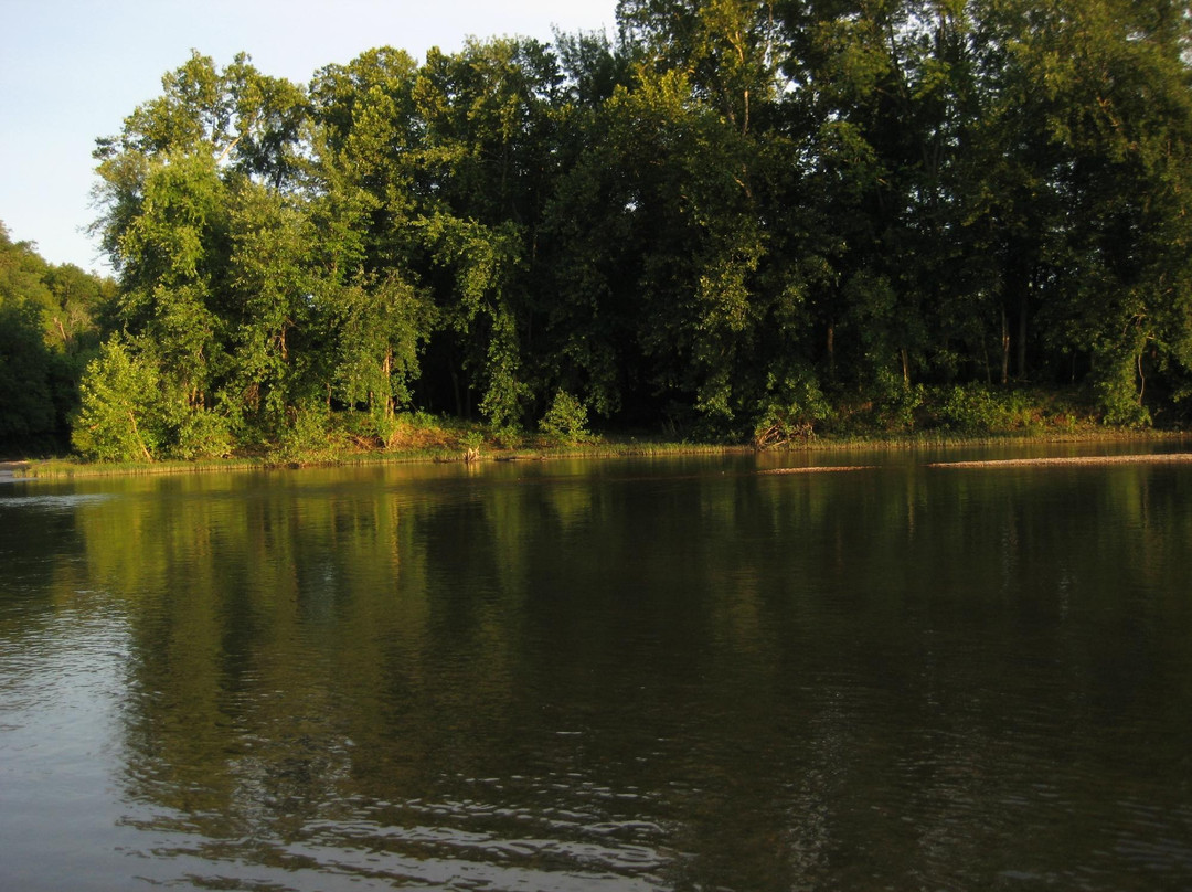 Shady Beach-Saint Clair必去景点