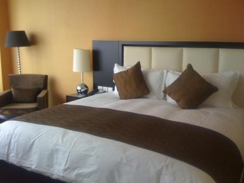 艾格美酒店式公寓-客卧