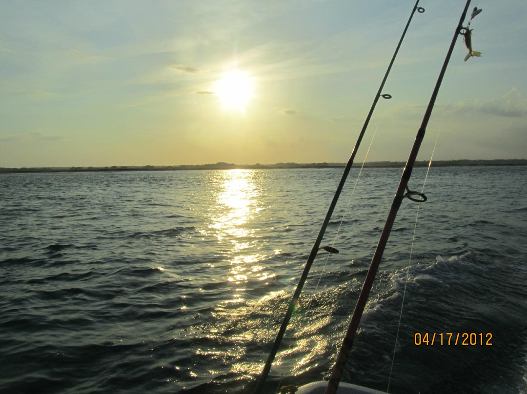 New River Shore Thing-Day Boat Tours-Sneads Ferry必去景点