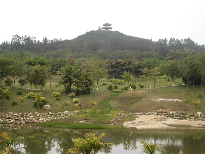 泉州森林公园景点图片