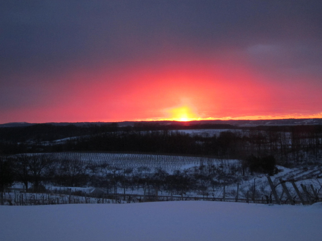 Chateau Chantal Winery & Tasting Room-特拉弗斯城必去景点