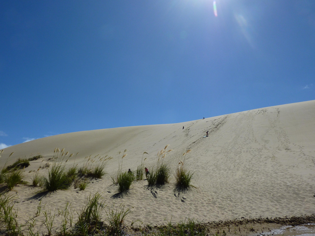 Cape Reinga Adventures Day Tours景点图片