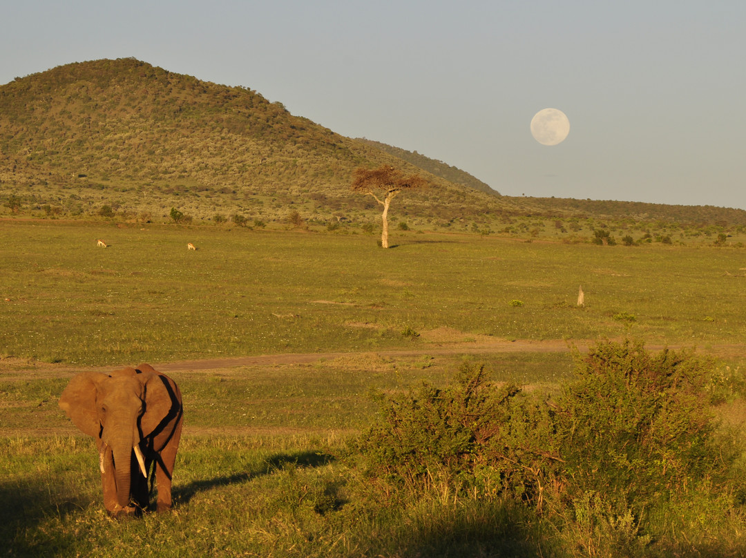 African Home Adventure Safaris-内罗毕必去景点