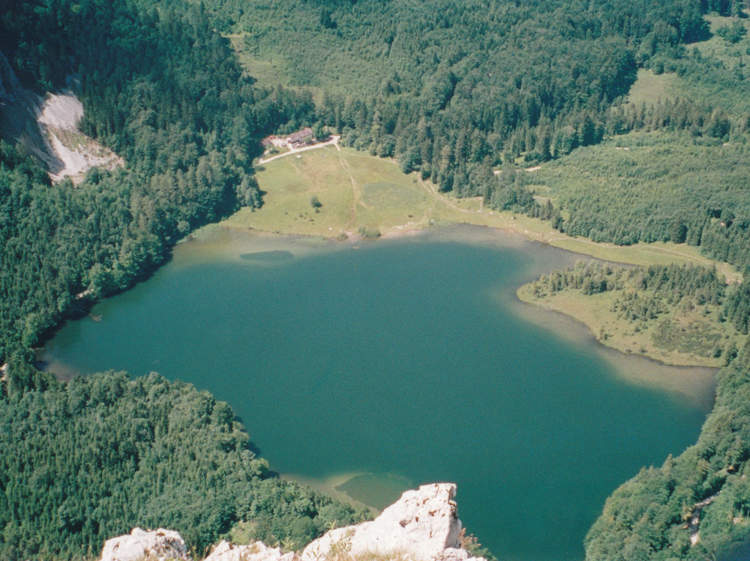 Laudachsee景点图片