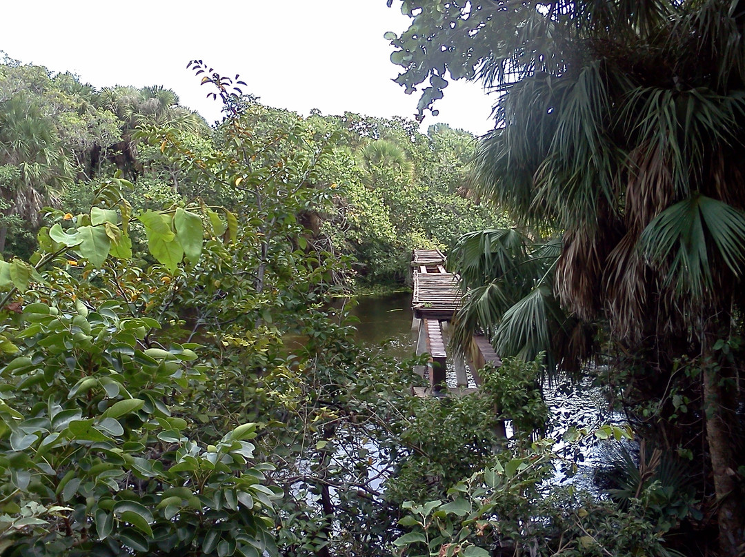 Hugh Taylor Birch State Park-劳德代尔堡必去景点