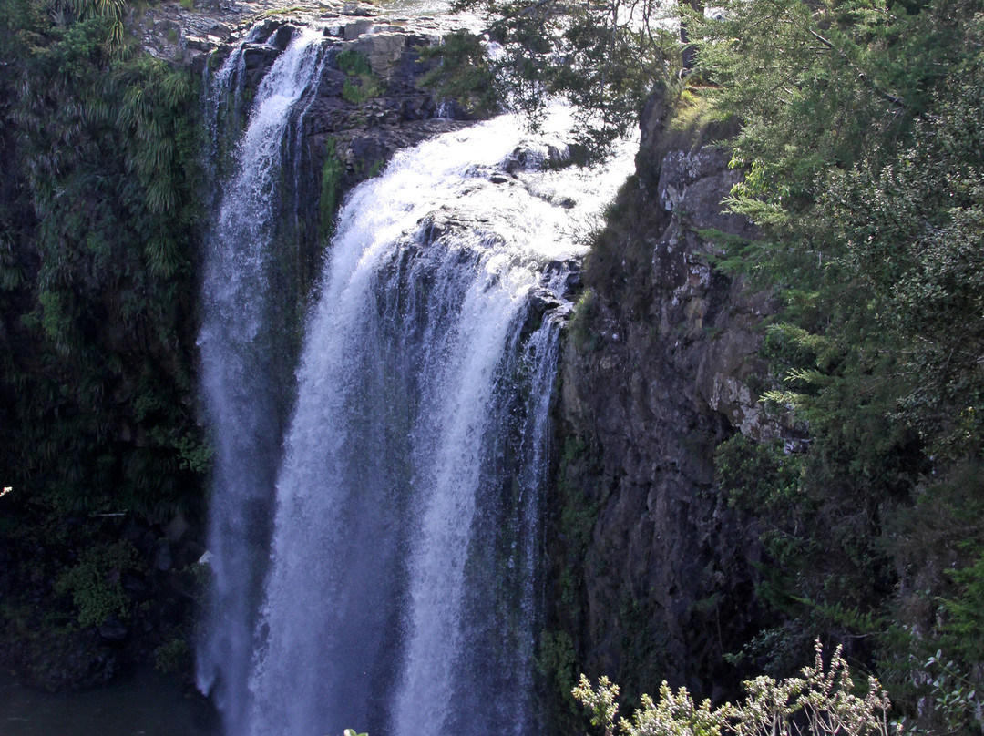 Whangarei Falls景点图片