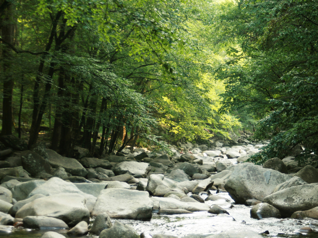 Chimneys Picnic Area-大雾山国家公园必去景点