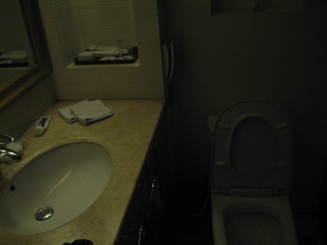 华辰大酒店主图