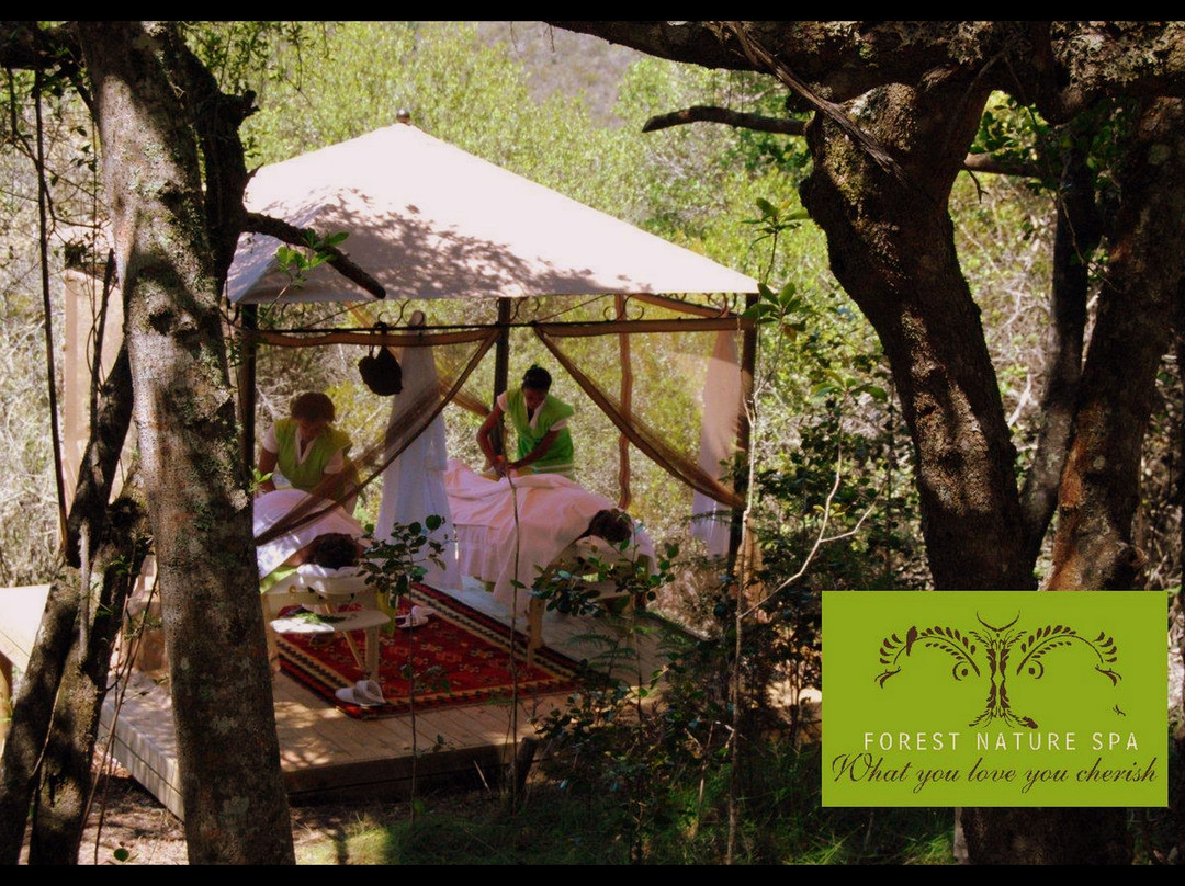 Forest Nature Spa-The Crags必去景点