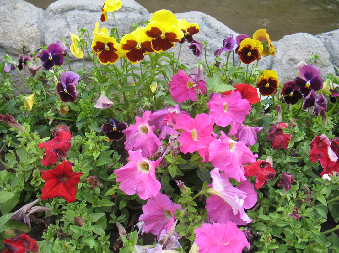 百里峡景区-涞水县必去景点