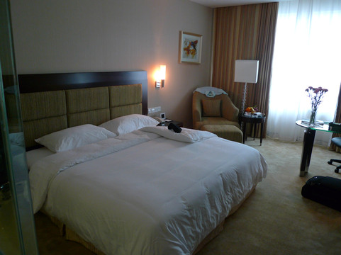 保利大酒店主图