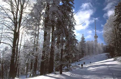 Medvednica mountain (Sljeme)景点图片