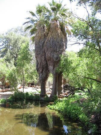 凤凰城动物园-凤凰城必去景点