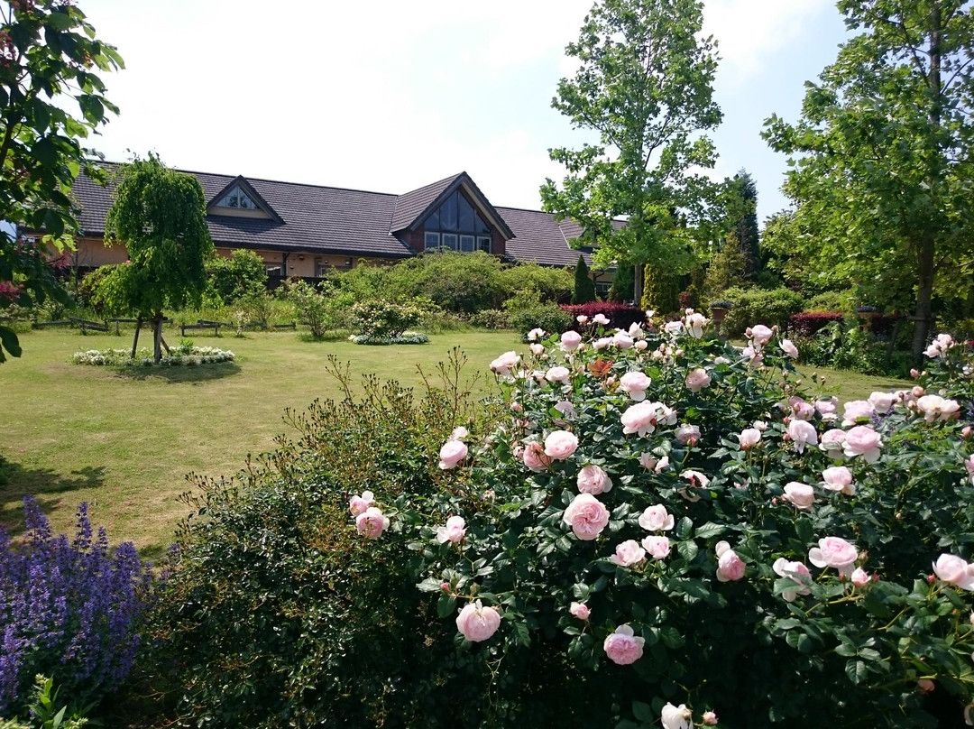 Bellfarm景点图片