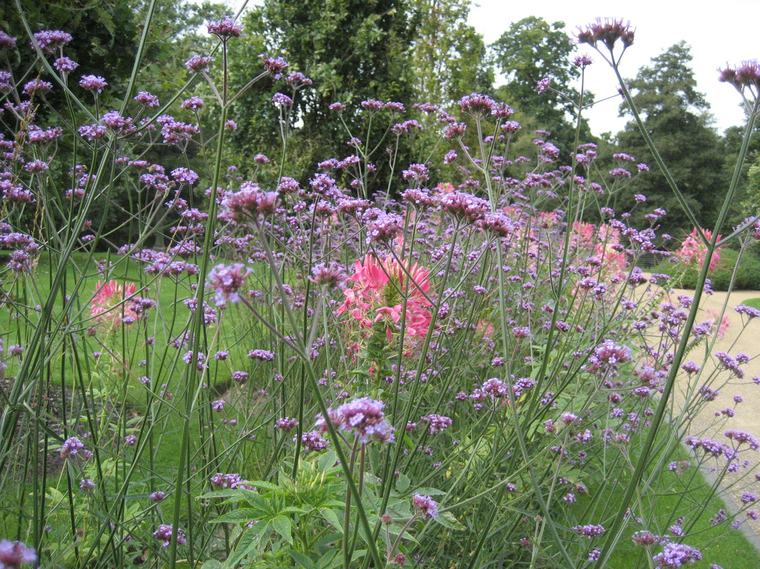 Savill Garden景点图片