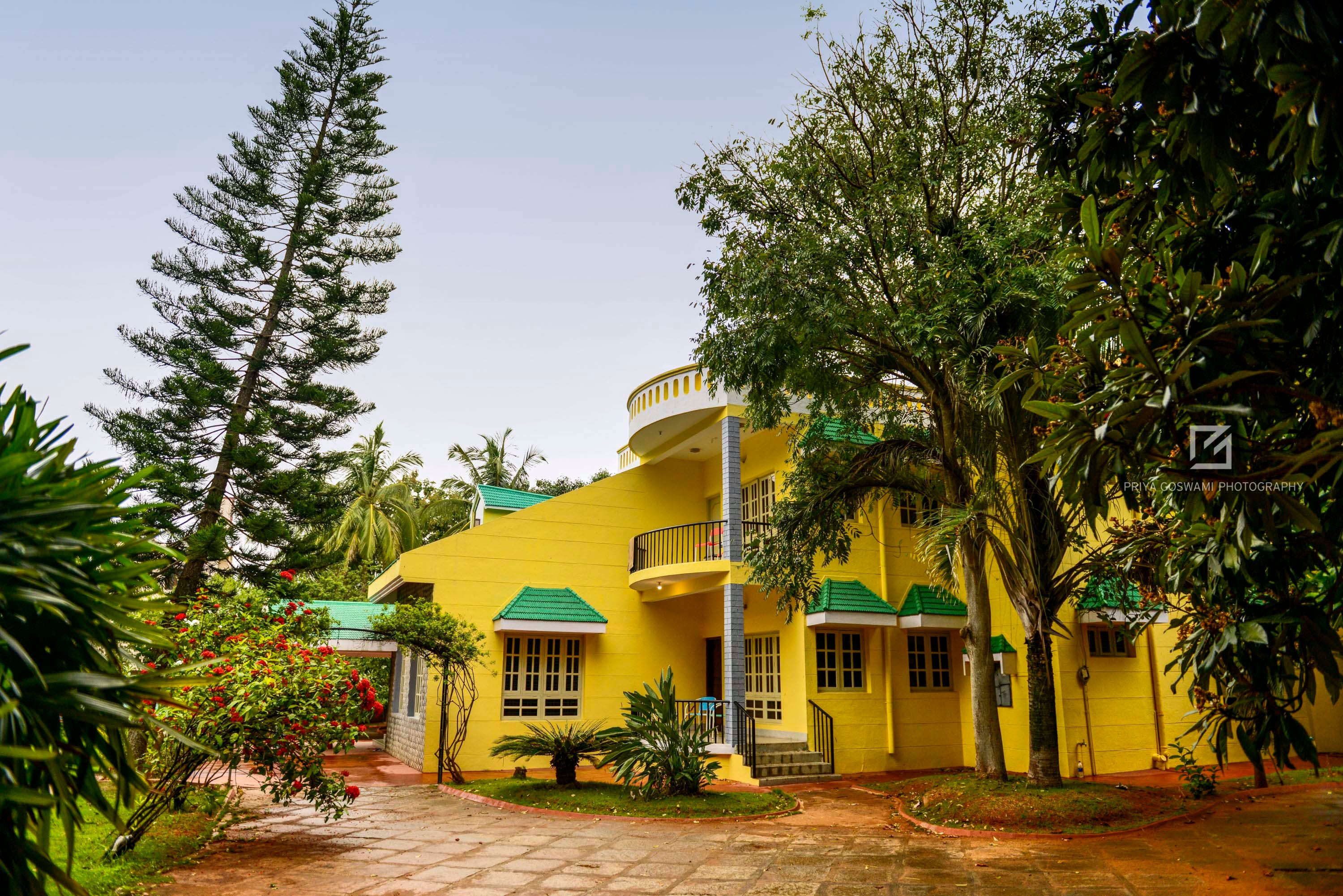 Beehive Hostel-官方