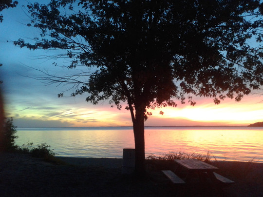 Annie's On The Beach